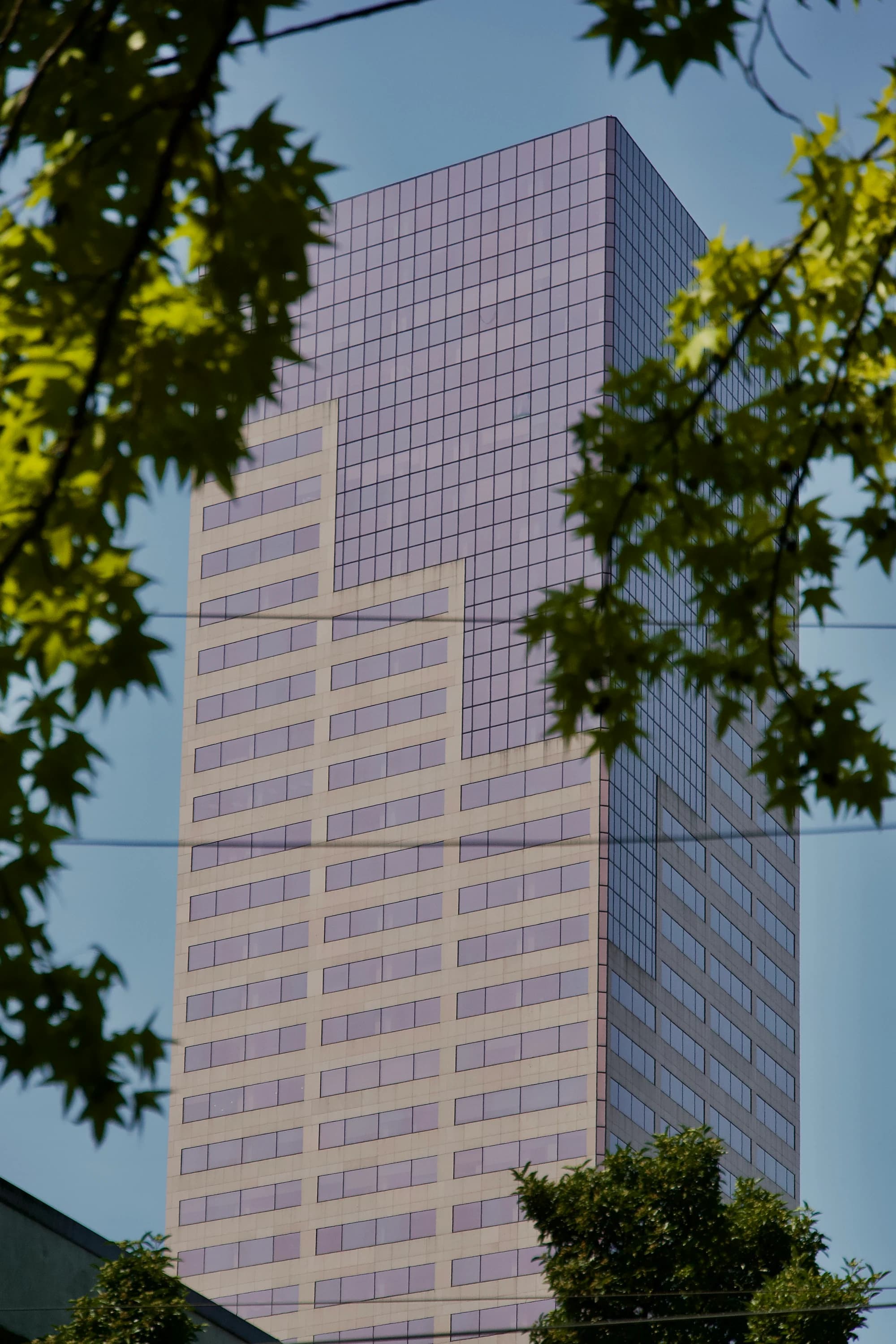 A pink glass high-rise framed by green leaves against a blue sky.