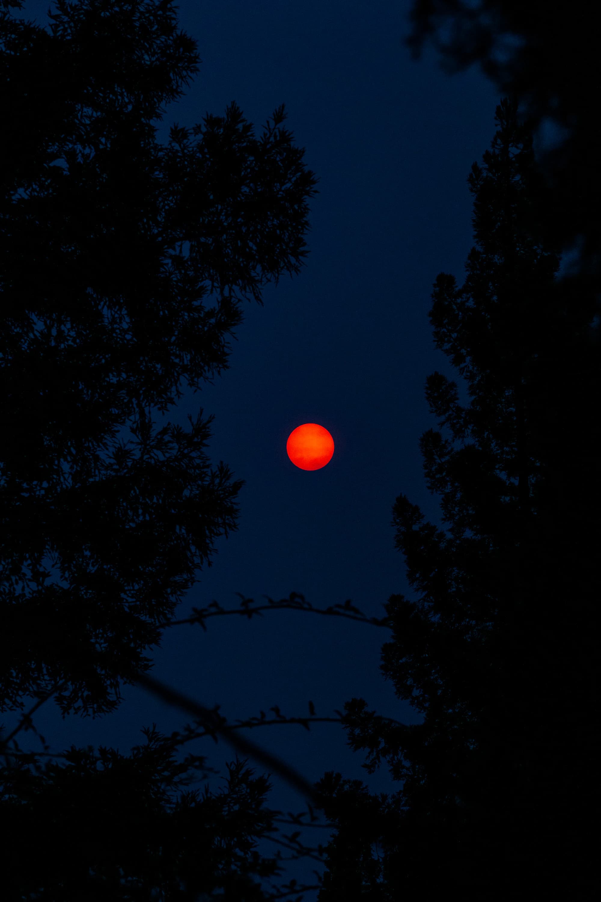 An orange sun glowing in a hazy sky.